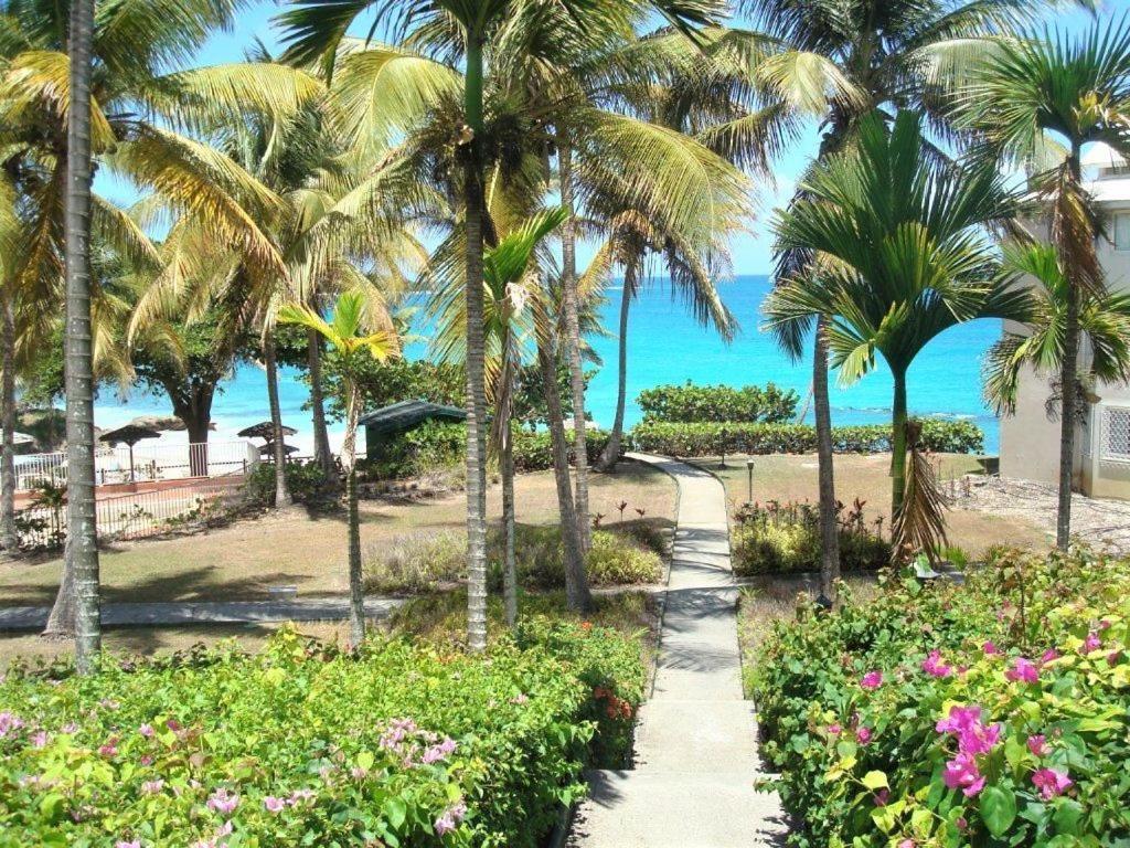Ilet Bleu Studio Cosy Rdc Vue Mer Et Jardin - Acces Direct Plage Le Gosier  Esterno foto