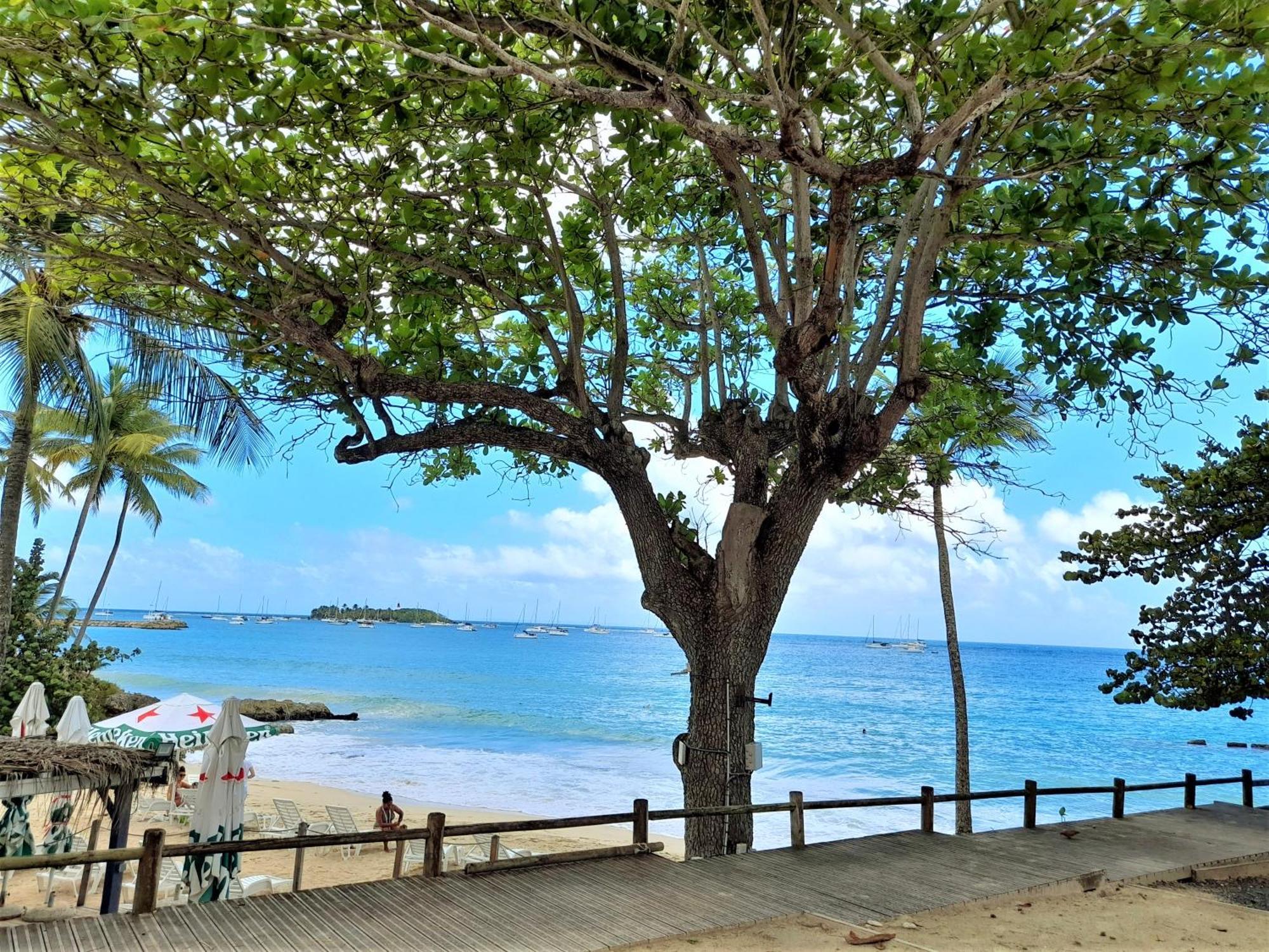 Ilet Bleu Studio Cosy Rdc Vue Mer Et Jardin - Acces Direct Plage Le Gosier  Esterno foto